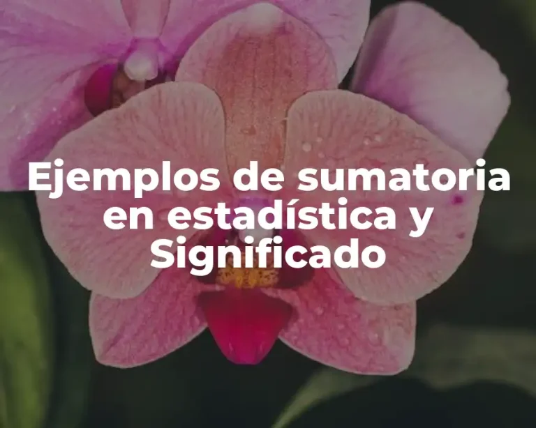 Ejemplos de sumatoria en estadística y Significado