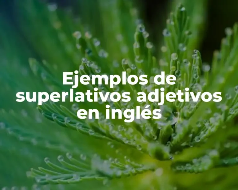 Ejemplos de superlativos adjetivos en inglés