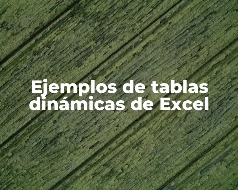 Ejemplos de tablas dinámicas de Excel