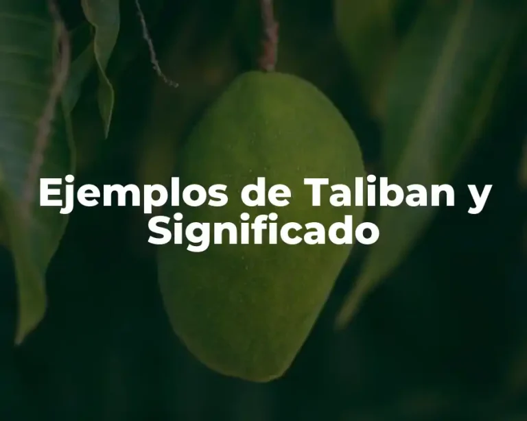 Ejemplos de Taliban y Significado