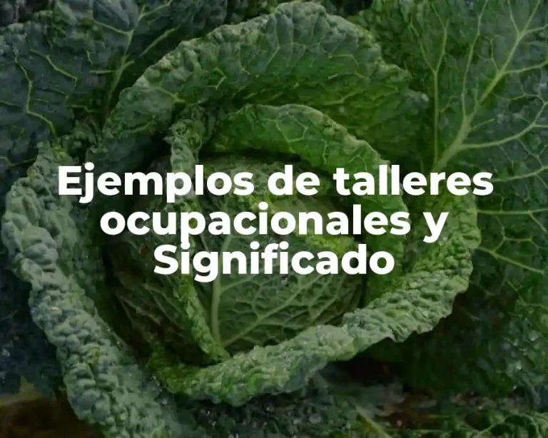 Ejemplos de talleres ocupacionales y Significado