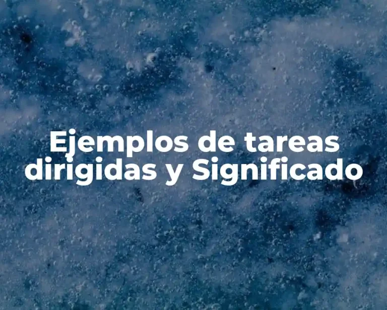 Ejemplos de tareas dirigidas y Significado