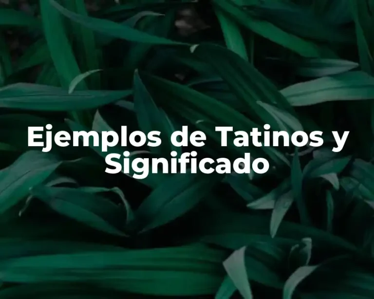 Ejemplos de Tatinos y Significado