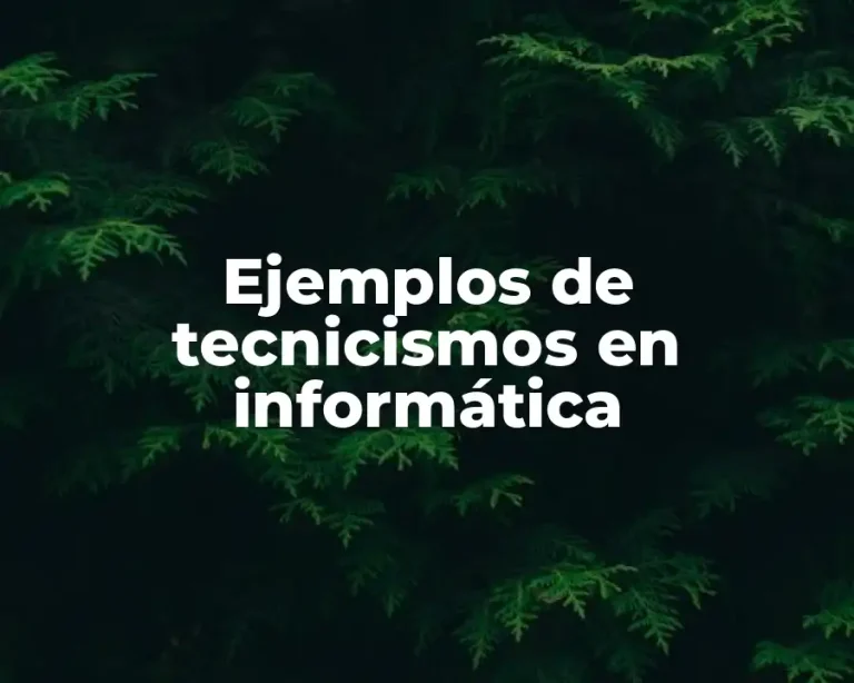 Ejemplos de tecnicismos en informática