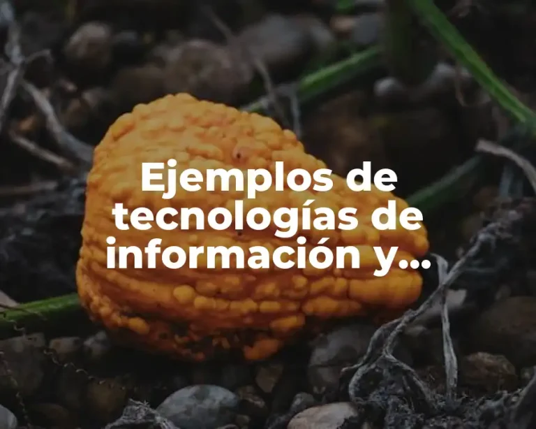 Ejemplos de tecnologías de información y comunicación