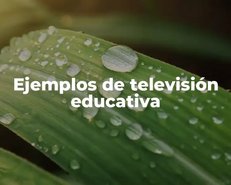 Ejemplos de televisión educativa