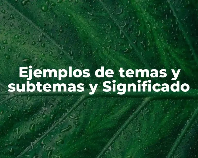 Ejemplos de temas y subtemas y Significado