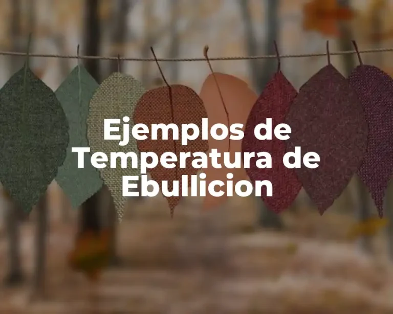 Ejemplos de Temperatura de Ebullicion