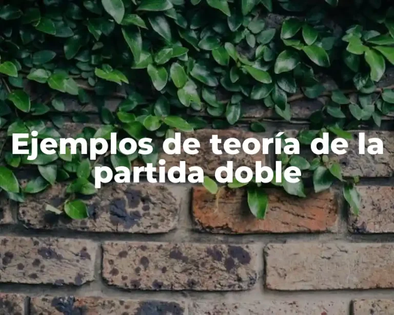 Ejemplos de teoría de la partida doble