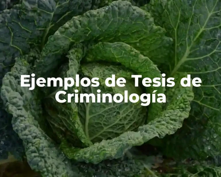 Ejemplos de Tesis de Criminología