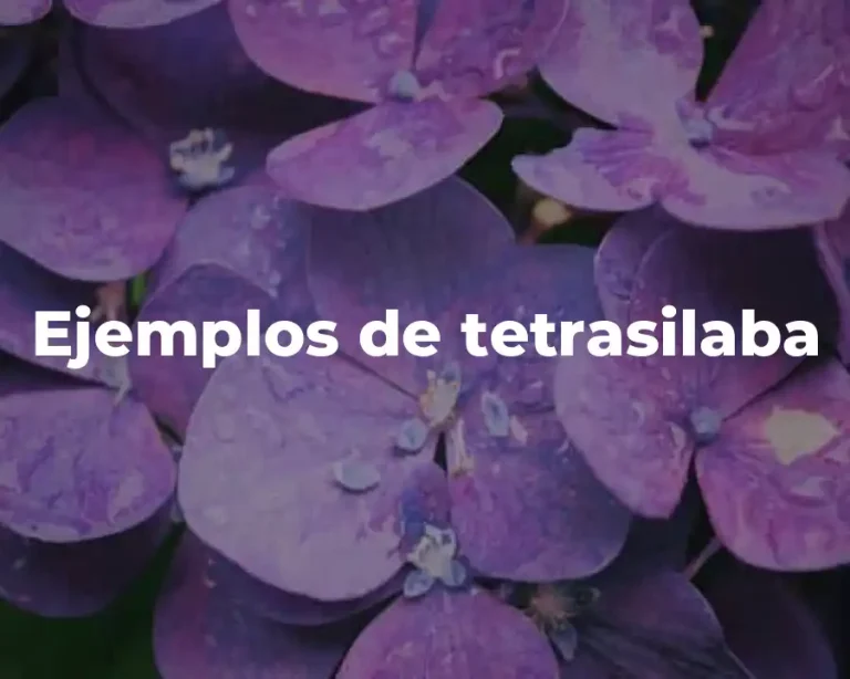 Ejemplos de tetrasilaba