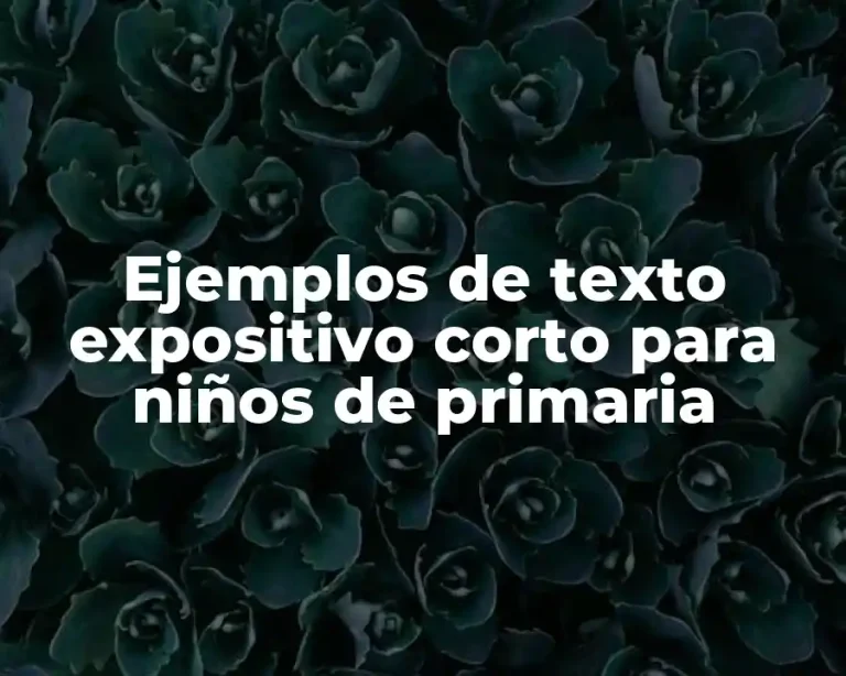 Ejemplos de texto expositivo corto para niños de primaria