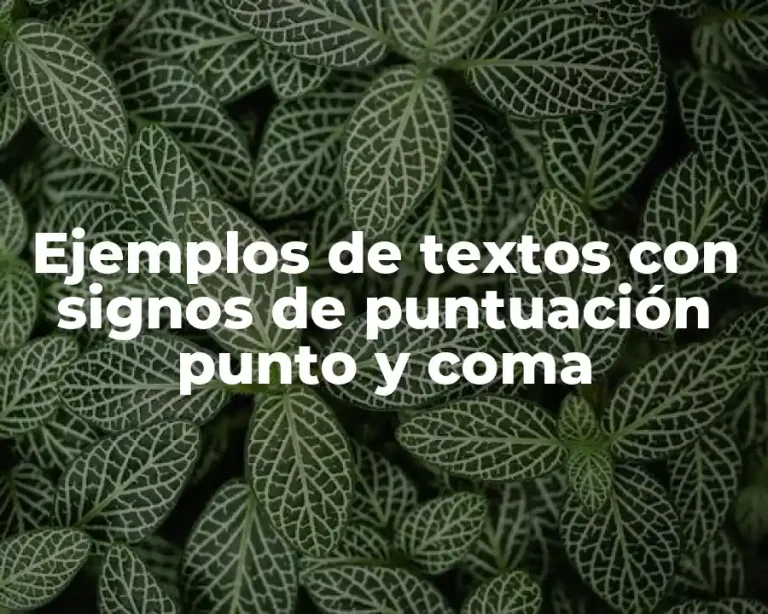 Ejemplos de textos con signos de puntuación punto y coma