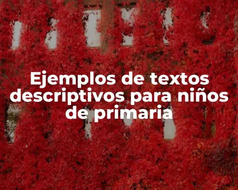 Ejemplos de textos descriptivos para niños de primaria