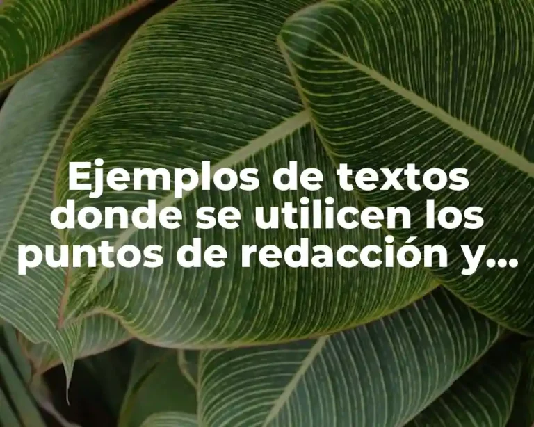Ejemplos de textos donde se utilicen los puntos de redacción y Significado