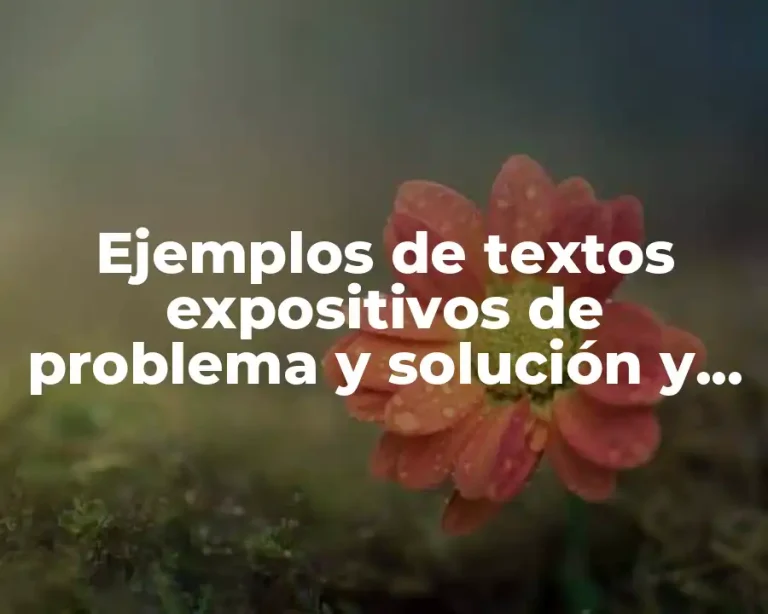 Ejemplos de textos expositivos de problema y solución y Significado