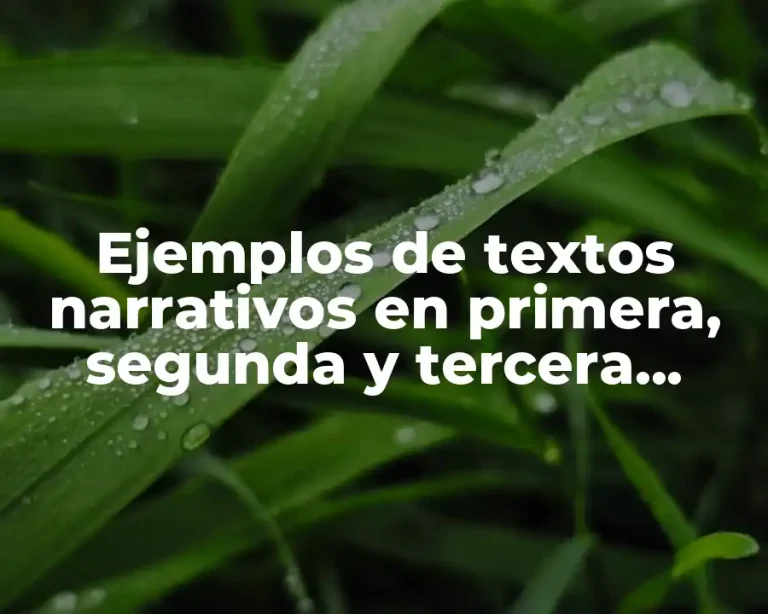 Ejemplos de textos narrativos en primera, segunda y tercera persona