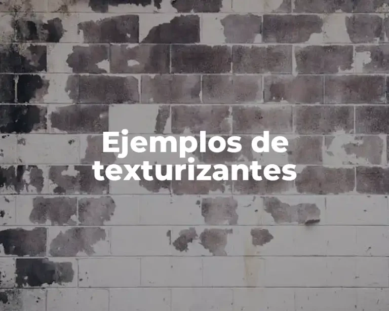 Ejemplos de texturizantes