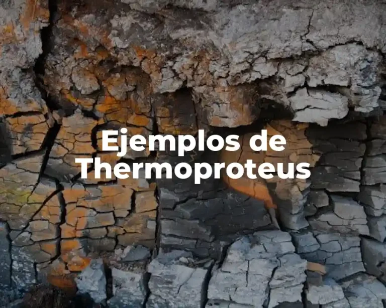 Ejemplos de Thermoproteus
