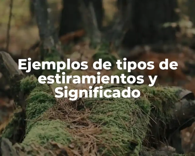 Ejemplos de tipos de estiramientos y Significado