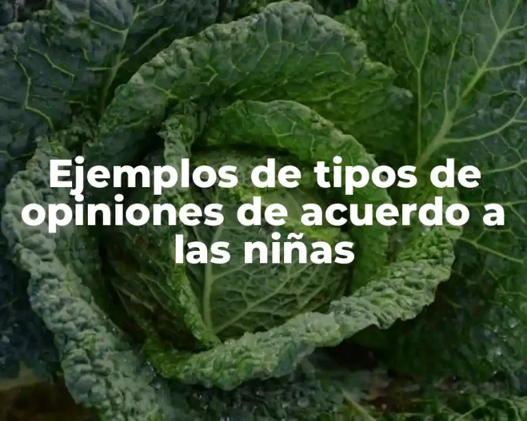 Ejemplos de tipos de opiniones de acuerdo a las niñas