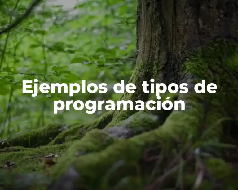 Ejemplos de tipos de programación