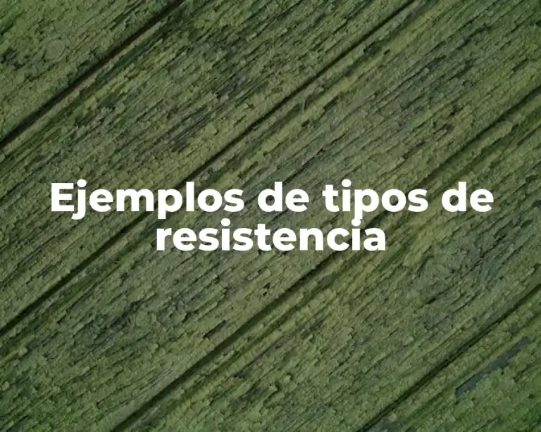 Ejemplos de tipos de resistencia