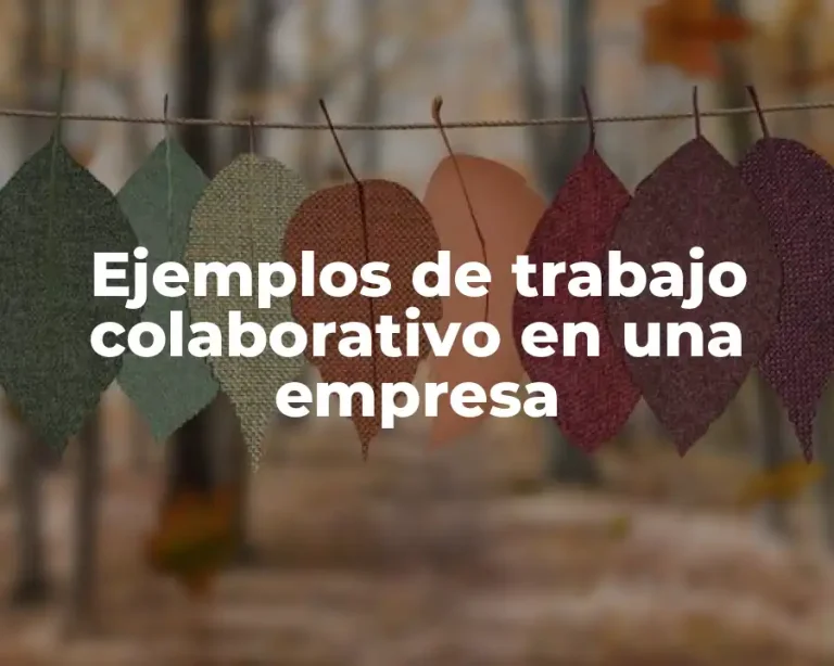 Ejemplos de trabajo colaborativo en una empresa