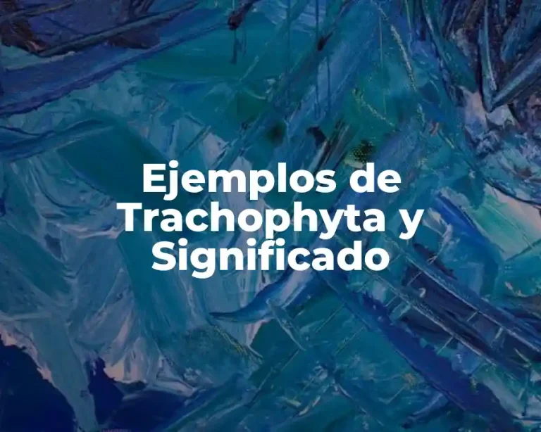 Ejemplos de Trachophyta y Significado