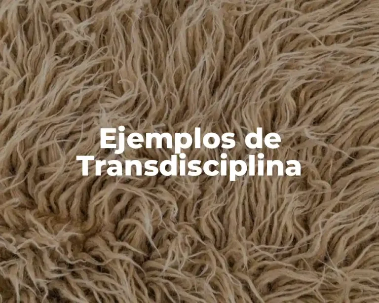 Ejemplos de Transdisciplina