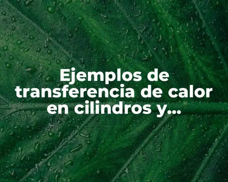 Ejemplos de transferencia de calor en cilindros y Significado