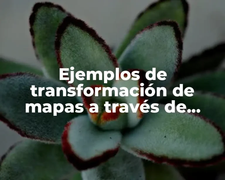 Ejemplos de transformación de mapas a través de acontecimientos históricos y Significado