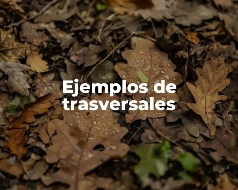 Ejemplos de trasversales
