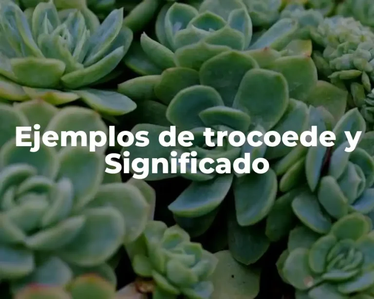 Ejemplos de trocoede y Significado