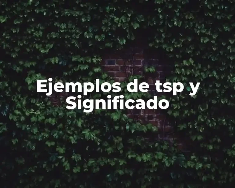 Ejemplos de tsp y Significado