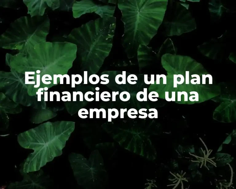 Ejemplos de un plan financiero de una empresa