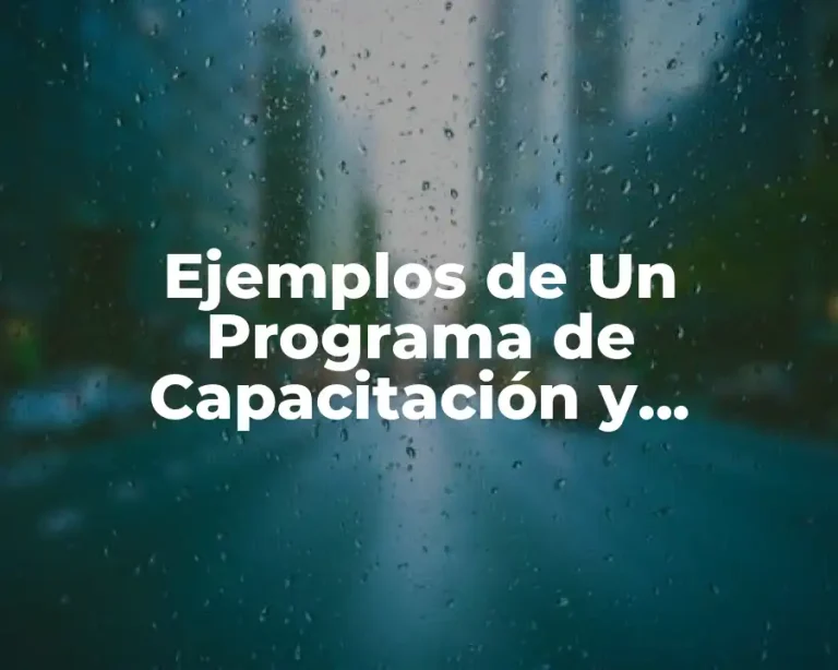 Ejemplos de Un Programa de Capacitación y Adiestramiento y Significado