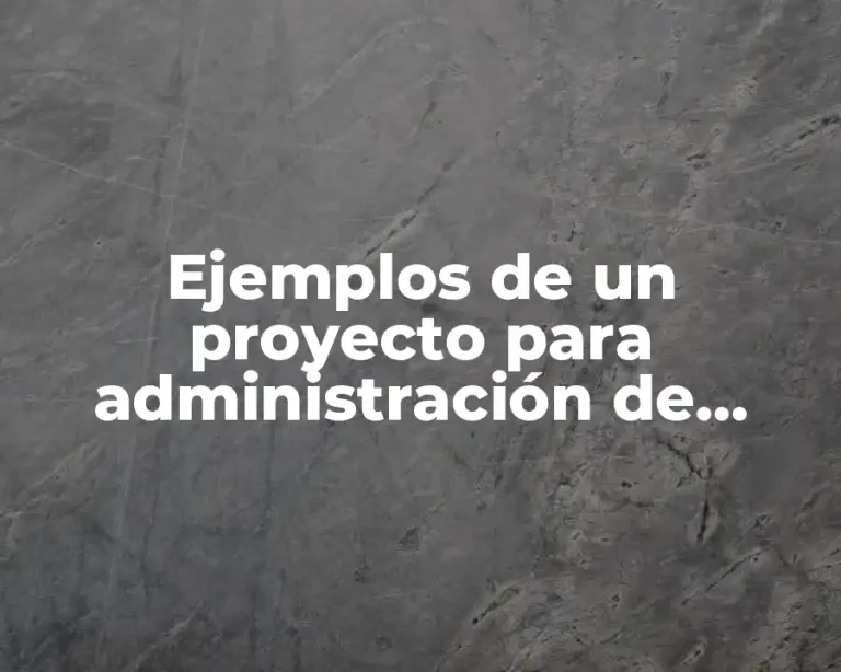 Ejemplos de un proyecto para administración de proyectos