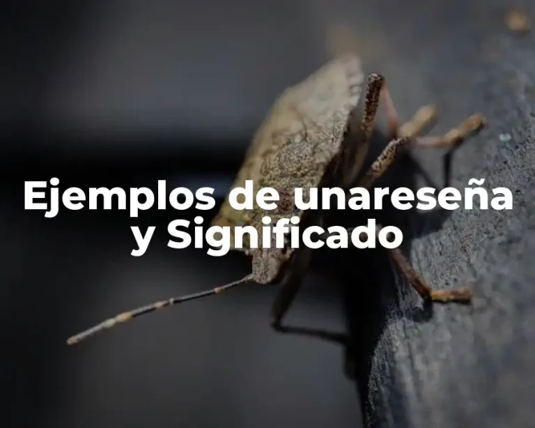 Ejemplos de unareseña y Significado