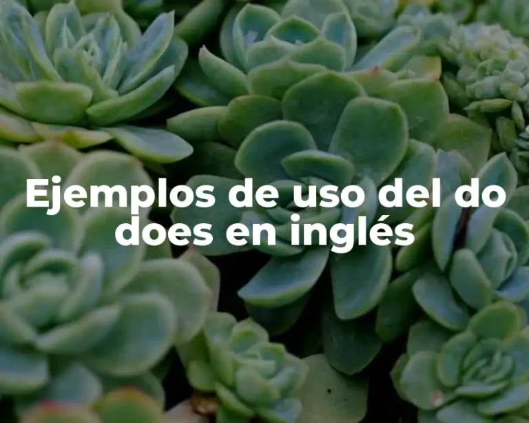 Ejemplos de uso del do does en inglés