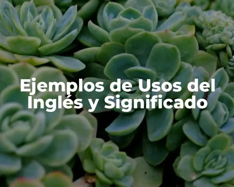 Ejemplos de Usos del Inglés y Significado