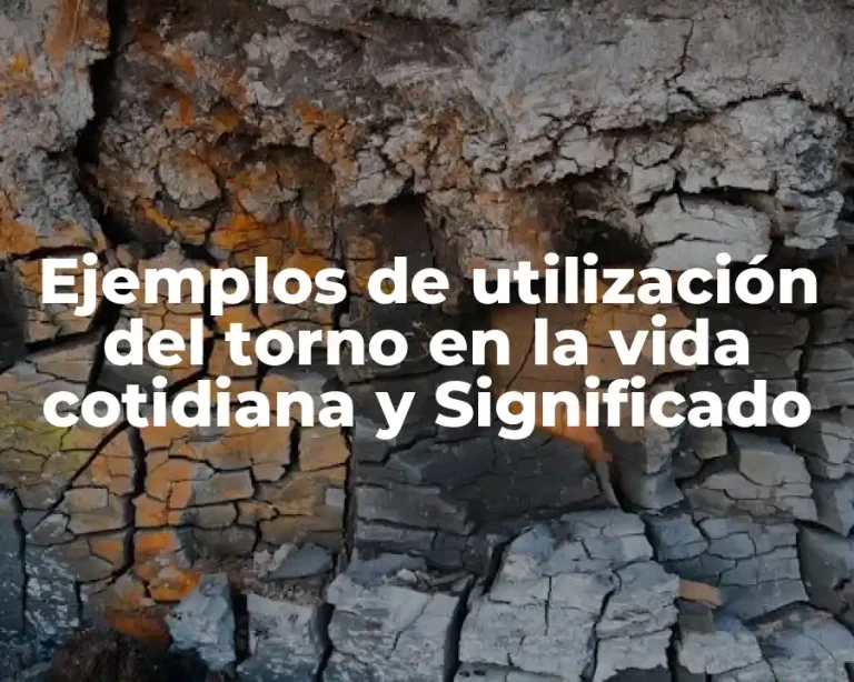 Ejemplos de utilización del torno en la vida cotidiana y Significado