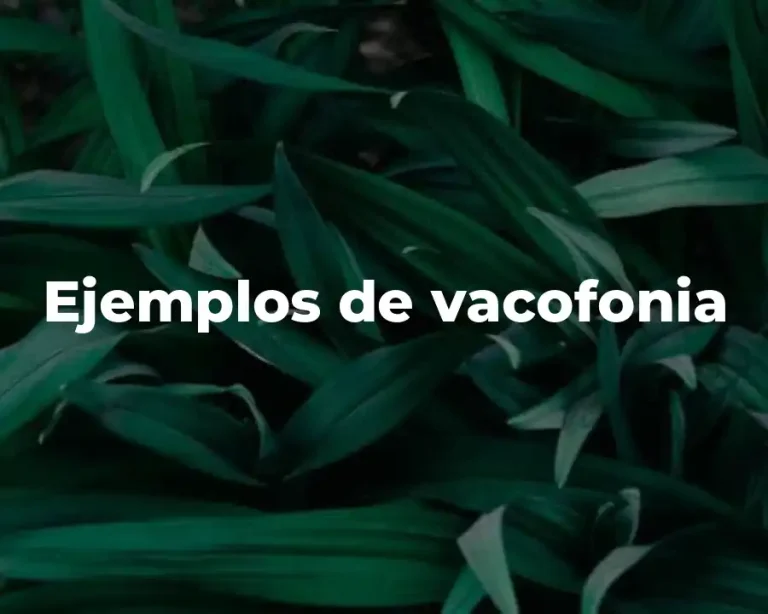 Ejemplos de vacofonia