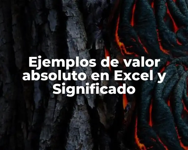 Ejemplos de valor absoluto en Excel y Significado