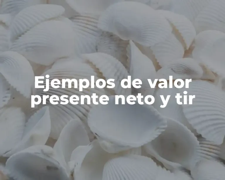 Ejemplos de valor presente neto y tir