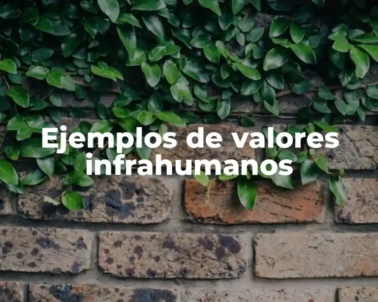 Ejemplos de valores infrahumanos