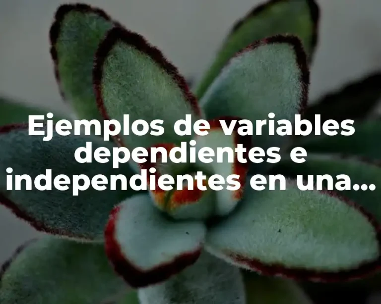 Ejemplos de variables dependientes e independientes en una investigación