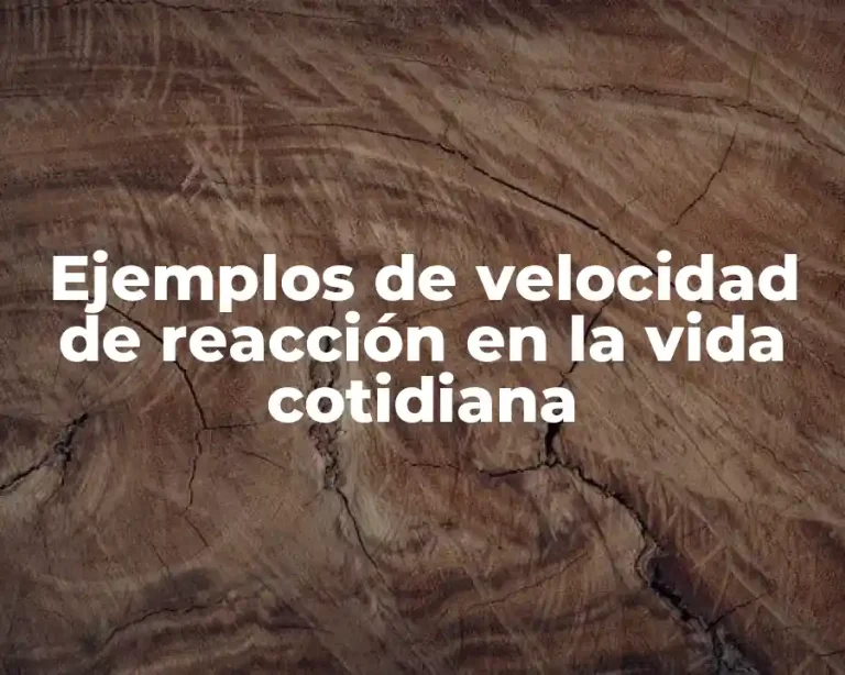 Ejemplos de velocidad de reacción en la vida cotidiana