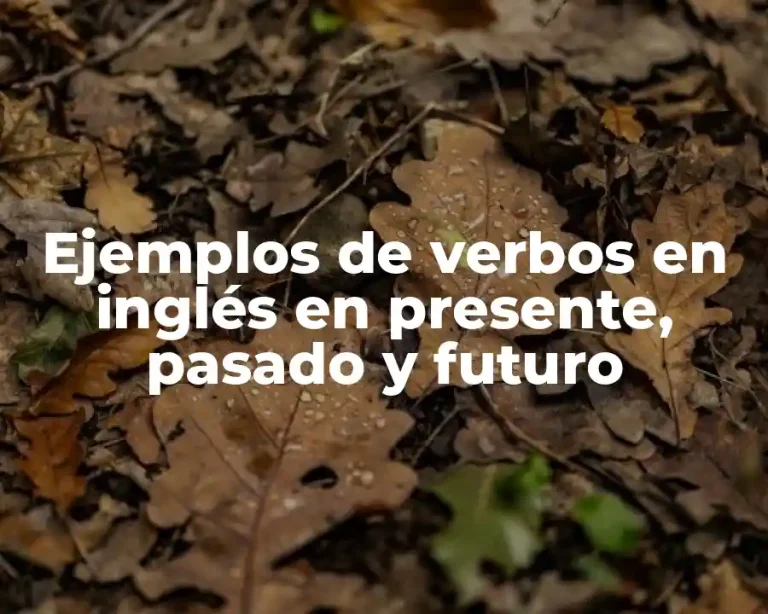 Ejemplos de verbos en inglés en presente, pasado y futuro