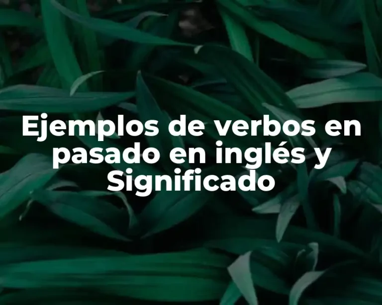 Ejemplos de verbos en pasado en inglés y Significado